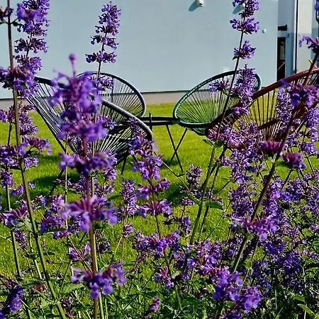 Siedlisko Na Wydmach, Sauna,podgrzewane Jacuzzi,domki Klimatyzowane,starlink Internet,parking