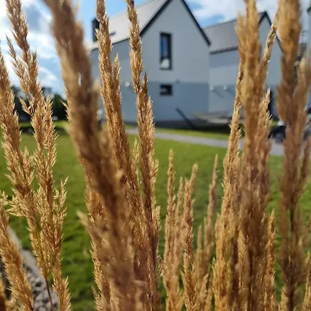 Siedlisko Na Wydmach, Sauna,domki Klimatyzowane,starlink Internet,parking