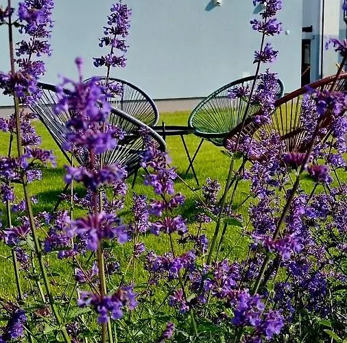 Siedlisko Na Wydmach, Sauna,podgrzewane Jacuzzi,domki Klimatyzowane,starlink Internet,parking