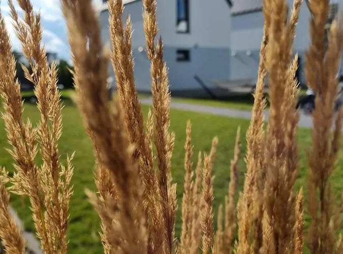 Siedlisko Na Wydmach, Sauna,podgrzewane Jacuzzi,domki Klimatyzowane,starlink Internet,parking